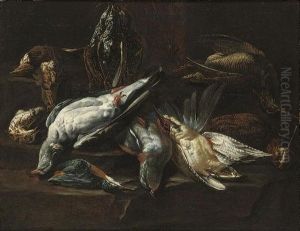 A Dead Kingfisher, Woodcocks And Other Game, On A Draped Table by Johannes Hermans