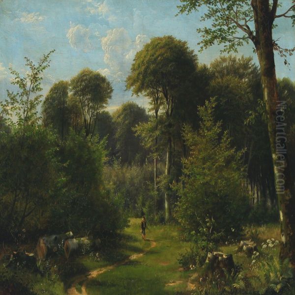 Forest Scenery With Boy On Adventure - view 1
