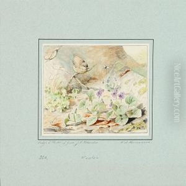 Forest Floor And Flowers On A Windowsill - view 1
