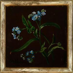 A Study Forget-me-not by Olaf August Hermansen