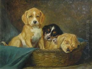 Chiots Chiots