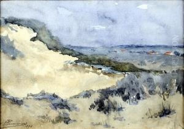 Dune Et Bruyere - view 1