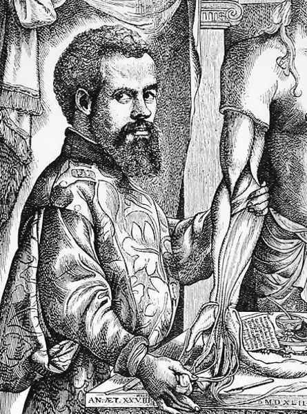 Portrait of Andreas Vesalius (1514-64) from his book 'De Humani Corporis Fabrica', 1543, illustration from 'Science and Literature in the Middle Ages and the Renaissance', 1878 - view 1