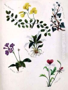 Wild Flowers (2) by Lili Cartwright
