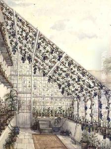 The Two Grape Houses in the Kitchen Garden, Aynhoe