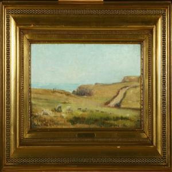 Landscape With Grazing Sheep - view 1