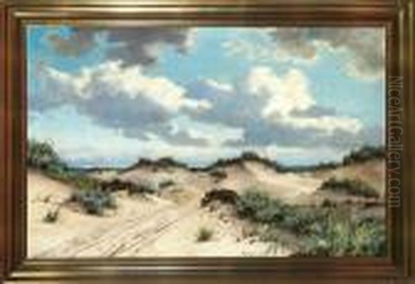 Sand Dunes At Raberg Beach, Denmark - view 1
