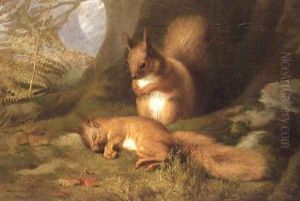 Squirrels in a Wood by Robert Collinson