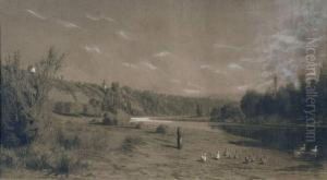 Gardienne De Canards Dans Un Paysage
