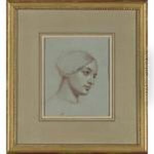 Portrait Of A Lady by Alexandre-Jean-Baptiste Hesse