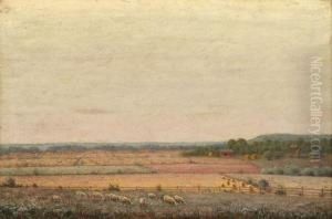 Sheep Grazing In A Landscape