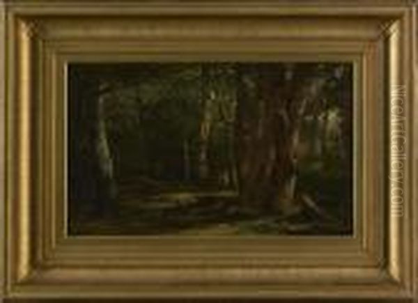 Woodland Glade - view 1