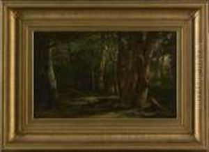 Woodland Glade