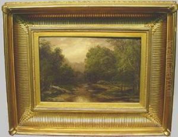 Scalp Level Landscape - view 1