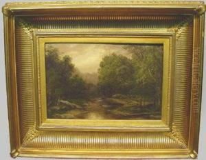 Scalp Level Landscape