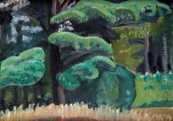 Study Of Pine Trees - view 1