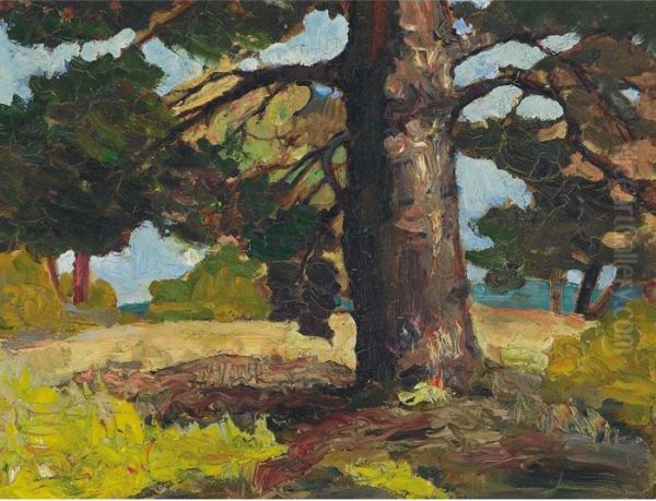 Landscape - view 1