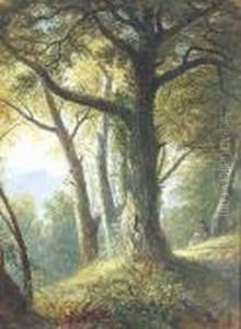 Leigh Woods, Bristol - Looking Across The Gorge