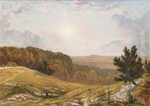 Brockley Combe From Backwell Hill, Near Bristol