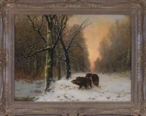Drei Wildschweine Im Abendlichen Winterwald