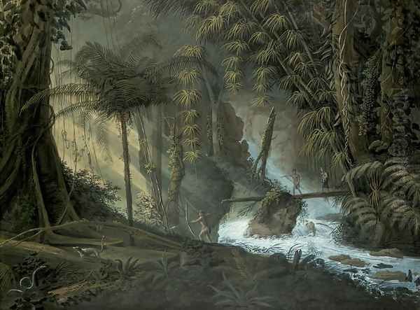 Brazilian Forest - view 1