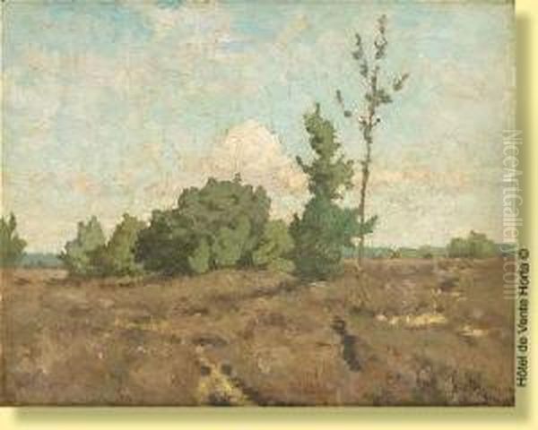 Paysage Arbore - view 1
