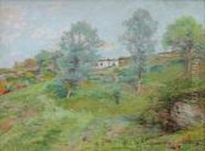 Zomers Ardenslandschap