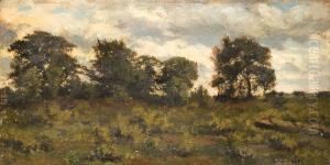 Paysage