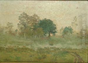 Arbres Dans Un Paysage Arbres Dans Un Paysage