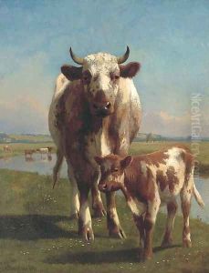 A shorthorn cow and calf by William Sidney Cooper