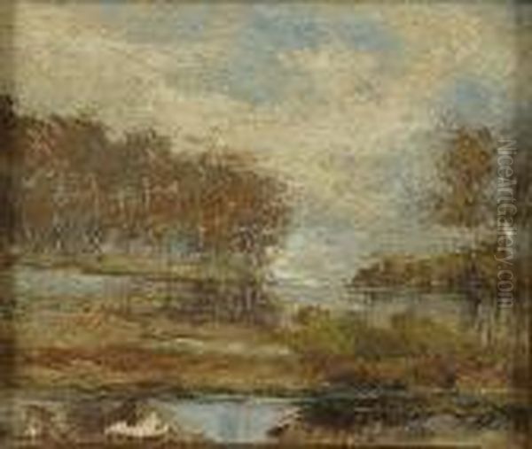 Het Moeras. - view 1