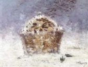Stromijt Met Kraaien In De Winter