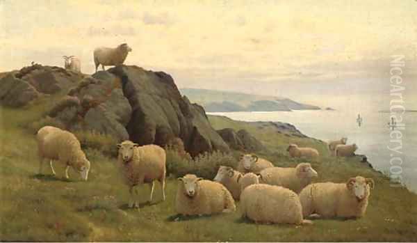 Sheep on a sunlit coast - view 1