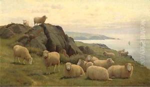 Sheep on a sunlit coast by William Sidney Cooper