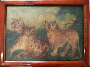 Three Big Cats: A Tiger, A Leopard And A Lioness