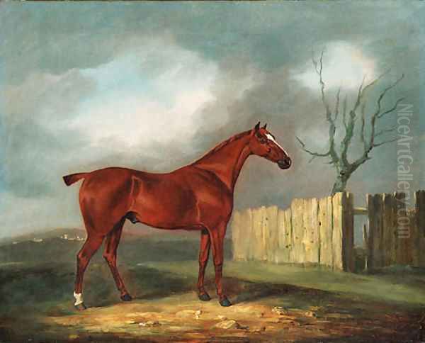 A chestnut Hunter by a Fence in an extensive Landscape - view 1