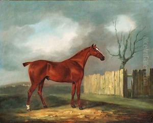 A chestnut Hunter by a Fence in an extensive Landscape by Edwin Cooper