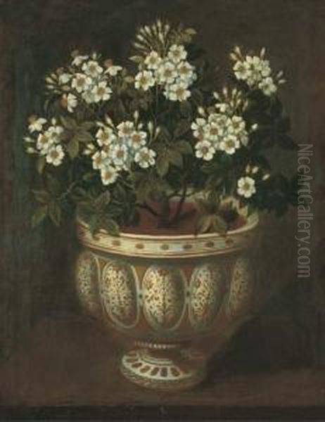 White Roses - view 1