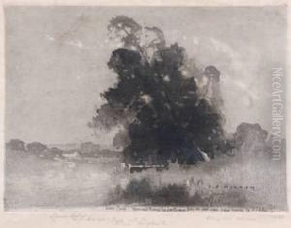 Dora Creek Memorial Etching by Jesse Jewhurst Hilder