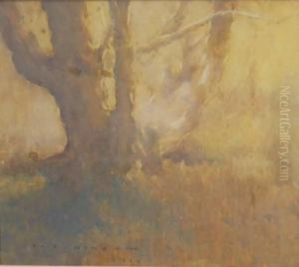 Old Tree 1914 - view 1