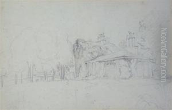 House With Vines - view 1