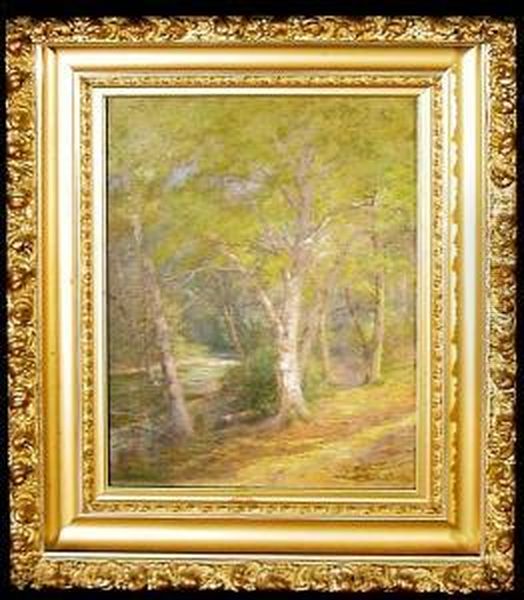 Path By The River, North Woodstock, New Hampshire - view 1
