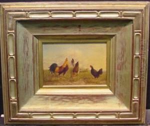 Evening - Roosters And Three Hens