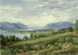 The Hudson River From Cold Spring by John William Hill