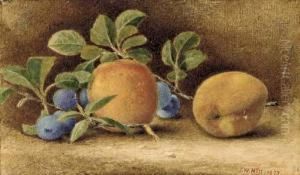Still Life With Peaches And Plums by John William Hill