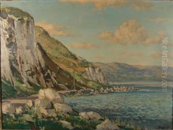 Antrimcoast Road - view 1