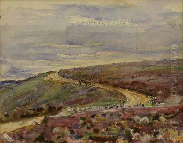 Lealholm Moor - view 1
