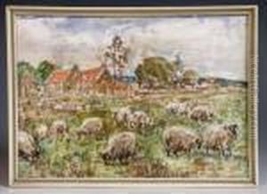 Sheepgrazing Sheepgrazing