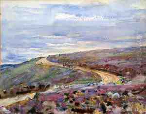 Moorland Track - view 1