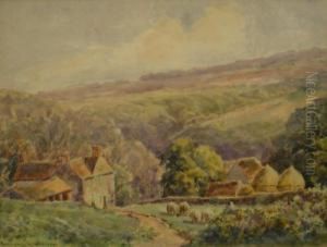 Hillside Farmstead With Sheep